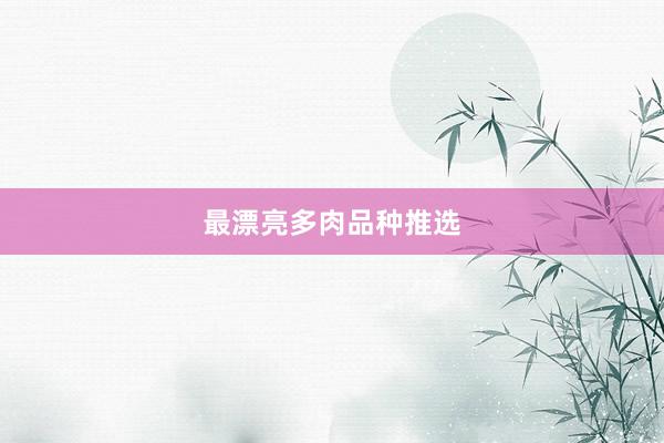 最漂亮多肉品种推选