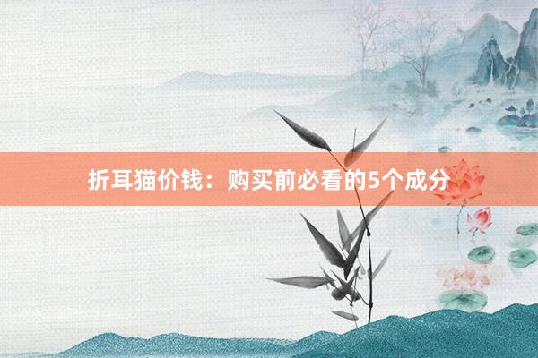 折耳猫价钱:购买前必看的5个成分